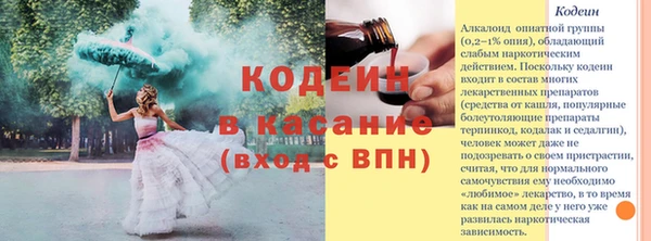 прущая мука Арсеньев