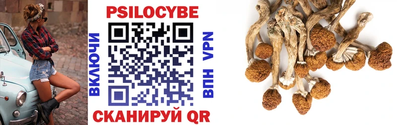 Псилоцибиновые грибы Psilocybe  это формула  Среднеколымск 